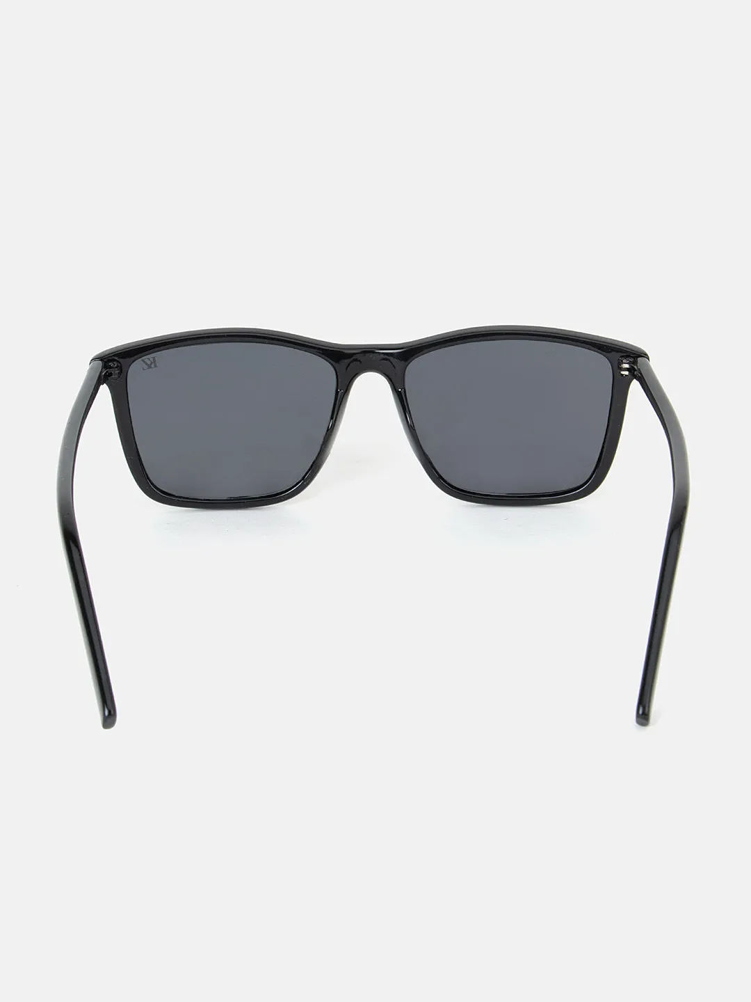 Wayfarer  Sunglasses